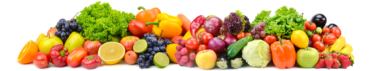 Gotham Provisions Inc.